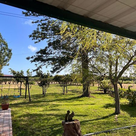 Quinta Dos Viegas Villa FAO Eksteriør bilde