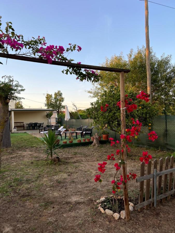 Quinta Dos Viegas Villa FAO Eksteriør bilde
