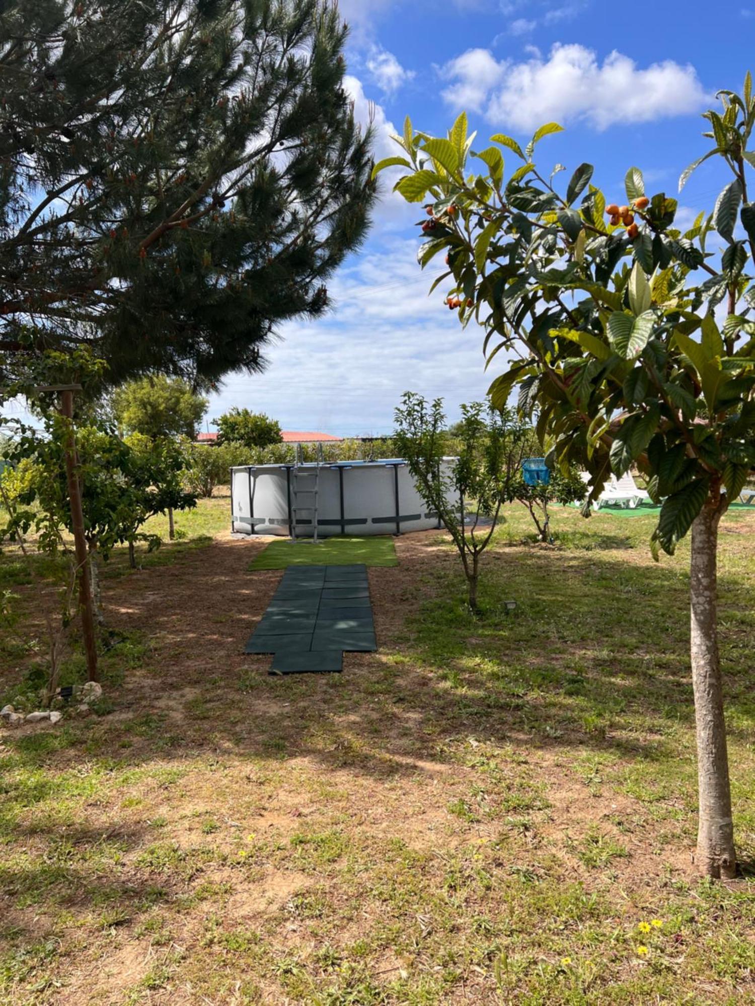 Quinta Dos Viegas Villa FAO Eksteriør bilde